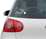 INDIGOS UG Aufkleber - Autoaufkleber - JDM - Die Cut - Hawaii - Tropical Islands - Auto, Truck, Notebook, Laptop, Vinyl - Folie Decal Sticker - Silber - 190mm x 109