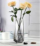 Glasblumenvase, Ins Style Kristallklare Vase Diamantbodenvase Handgemachte Blumenblume Pflanzenbehälter Terrarien Glasvase für Blumen Hydroponik Pflanze, Hochzeit Einweihungsparty Home Office Dek