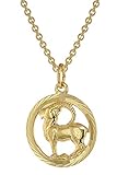 trendor Sternzeichen Steinbock Gold 333 Anhänger Ø 16 mm + Halskette Tierkreiszeichen, eleganter Halsschmuck aus Echtgold für Damen, 75940-01