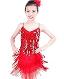 SHADIOA Mädchen Latin Dance Kleid Pailletten Quaste Ballsaal Wettbewerb Party Bühnenaufführung Praxis Kostüme,H,M