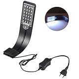 LEDGLE 10W LED Aquarium Licht Beleuchtung Kompakte Aquarienleuchte, IPX7 Wasserdicht，Wasserpflanzenbeleuchtung mit Leistungsstarkem Clip, Weiß und Blaulicht (Schwarz)