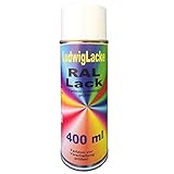 1 Spraydose 400ml Autolack glänzend RAL 9005 Tiefschw