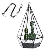 Asvert Geometrische dekorative Terrarium Cube geneigte Klarglas Pflanzer Tischplatte schwarz kleine Air Plant Halter Display Box saftige Moos Blumentopf Container Nicht enthalten Aufhängering