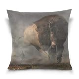 Linomo Kissenbezug 40x40 cm, Amerikanisch Westen Bison Stier Büffel Dekorative Kissenbezug Kissenhülle für Couch Sofa Bett H