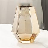CHYSP Goldenes Glas Dekorative Vasen Trockenblumenvase Wohnzimmerdekoration Moderne Wohnkultur Blumentopf (Color : C, Size : One Size)