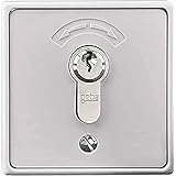 Schlüsseltaster Unterputz mit Zylinder und 3 Schlüsseln - 4595 - (Gehäuse Metall, Abdeckung Kunststoff), 80000005