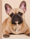 French Bulldog: French Bulldog gifts for women and girls - Paperback notebook and journal to w