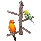 ACBungji Vögel Sitzstangen aus Naturholz Vogelspielplatz Spielzeug wie Wellensittich, Nymphensittich Naturholzstangen Vogelzubehör für Papageien, Wellensittich, Kanarienvogel, Nymp