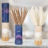 Pöffi Pampasgras Deko (30 Stück) - 45cm lang und in Farbe beige und naturbraun - Trockenblumen Deko mit gratis 2 modernen Vasen inkl. - Dekoblumen fürs gesamte H