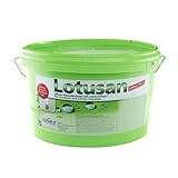 Südwest Lotusan Silikonharz-Fassadenfarbe 12,5 L