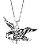 VNOX Edelstahl Weinlese Fliegen Adler Anhänger Halskette für Männer Punk kühlen Rock Stil,Silber,