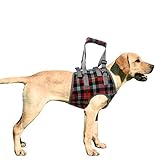 KZOBYD Hundegeschirr Vorne Beine Tragehilfe Hunde Gehhilfe Unterstützung Harness Pet Heben Ziehen Weste Verstellbares Rehabilitation Assist Brustgeschirre Weich Laufgeschirre(Orange,L)