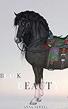 Black Beauty (English Edition)