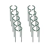 StrauchstüTze Hoch, Pflanzen Rankhilfe Rund, 10 StüCk PflanzenklettergerüSt, GartenblumengerüSt, PflanzenklettergerüSt, BlattschutzgerüSt, Kann FüR Jede Art Von Kletterpflanzen Verwendet Werden,15