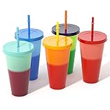 COAWG Farbwechsel Becher Set, 5er 24 oz Wiederverwendbare Trinkbecher mit Deckel, Reinigungsbürste und Strohhalmen Becher Tasse BPA Free Coloured Changeable Sommerfest für Eisk