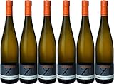 Bernd Hermes Riesling MX 2020 Feinherb (6 x 0.75 l)