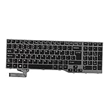 IPOTCH Kunststoff Englisch Slim Elegante Laptop Tastatur Ersatztastatur Grauer Rahmen mit Hintergrundbeleuchtung für Fujitsu Lifebook E753 E754 E756 US