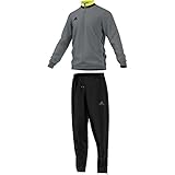 adidas Herren Trainingsanzug Condivo 16, Vista Grey S15/Black, M, AN9833