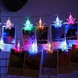 HSJWOSA Tragbar 1.5M 3M 6M LED Sterne Schnurlichter Karten-Foto-Klipp-Halter Ferien Garland Lampe for Weihnachten Neujahr Hochzeit Dekoration Umw