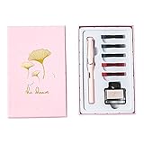 ANLV 1 Set Stift Set, Kalligraphie Set Füllfederhalter, Füllfederhalter Tinte Set, hohles Design, Anti-Fall, tragbarer Signaturstift mit für Kalligraphie Büro Schule Schreibwaren Versorgung S