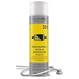 CleanTEC 301 Profi Dieselpartikelfilter und Kat intensiv Reiniger Spray mit Sonde 400