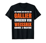 Ich komme mir vor wie ein Gallier T-S