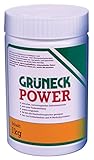 Kluthe Grüneck Power Abbeizer, Lackentferner, Abbeizmittel 1KG