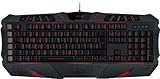 Speedlink Parthica Core Gaming Tastatur (FR-Layout, AZERTY)