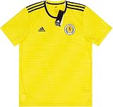 adidas Herren Schottland Auswärtstrikot, Byellow/Dark Blue, L