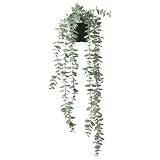 FEJKA Künstliche Topfpflanze, Innen- und Außenbereich, Dekoration zum Aufhängen, Eukalyptus, 9