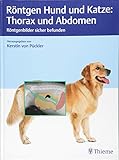 Röntgen Hund und Katze: Thorax und Abdomen: Röntgenbilder sicher b