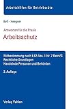 Arbeitsschutz: Mitbestimmung nach § 87 Abs. 1 Nr. 7 BetrVG, Rechtliche Grundlagen, Handelnde Personen und Behö