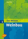 Der Winzer 1. Weinb