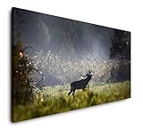 Paul Sinus Art Hirsch im Wald 120x 60cm Panorama Leinwand Bild XXL Format Wandbilder Wohnzimmer Wohnung Deko Kunstdruck