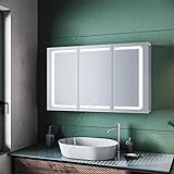 SUNXURY Spiegelschrank mit Beleuchtung 105 x 65 cm Badspiegelschrank mit Spiegelschrank LED Spiegelschrank mit Touch für das Badezimmer Edelstahl Spiegelschrank mit Steckdose w