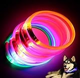 Flashy Hundehalsband, auf Größe zugeschnitten, wiederaufladbar über USB, wasserdicht, helles Nachtlicht, Sicherheit für Haustiere (Neongelb)