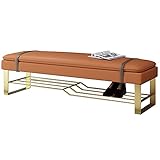 LJFYXZ Schuhbank Schuhschrank PU-Kissen Rechteckige Bank Schuhregal aus Eisen Geeignete Höhe Bequemer Schuhhocker 60/80/100cm(Size:60cm/23.6in,Color:Orange)