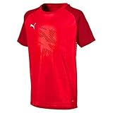 PUMA Kinder Cup Training Jersey Core Jr Trikot, Red-Chili Pepper, 128