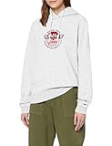 Tommy Jeans Damen Tjw Essential Logo Hoodie Pullover, Silver Grey Htr, L