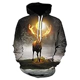 QTJY Winter/Herbst Herren Hoodie, Assassin's War 3D Print Kapuzen Sweatshirt Herren Langarm Pullover Streetwear K XL