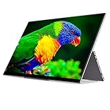 Tragbarer Monitor 15,6 Zoll Berühren UHD 4K. Typ C Portable Computer Monitor Gaming Display-Bildschirm Leicht und Tragbar (Farbe : Grau, Size : 15.6 Inch)