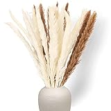 30Pcs Pampasgras Natürlich Getrocknetes, Pampas Grass Natürliche Trockenblumen Blumenstrauß Schilfgrass Flauschige und schwingende Pflanzen Deko Blumen Vase Dekorieren Tischdek