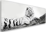 Feeby Frames, Leinwandbild, Bilder, Wand Bild, Wandbilder, Kunstdruck 40x100cm, Tiger, Tier, SCHWARZ-W