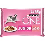 PURINA ONE Junior Kittenfutter nass, zarte Stückchen in Sauce mit Lachs & Karotten, 12er Pack (12 x 4 à 85g)