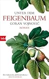 Unter dem Feigenbaum: R