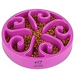 Decyam Anti Schling Napf Hund Hundenapf Langsame Fütterung Langsam Fressen Slow Feeder Dog Bowl (Medium, Lila Flower)