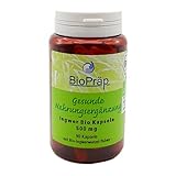 BioPräp Ingwer BIO Kapseln | 90 Zellulose-Kap