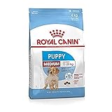 Royal Canin 35217 Medium Puppy ,15 kg - H