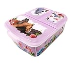 Theonoi Kinder Brotdose / Lunchbox / Sandwichbox wählbar: Avengers - Mickey – Paw aus Kunststoff BPA frei - tolles Geschenk für Kinder (Pferd Horses)