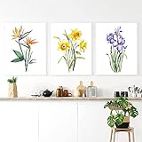 HHLSS Poster Bild 3 Stück 60 x 80 cm Rahmenlos Vintage Botanischer Druck Aquarell Blumen Poster Botanische Illustration Leinwand Wandkunst Bild Home D